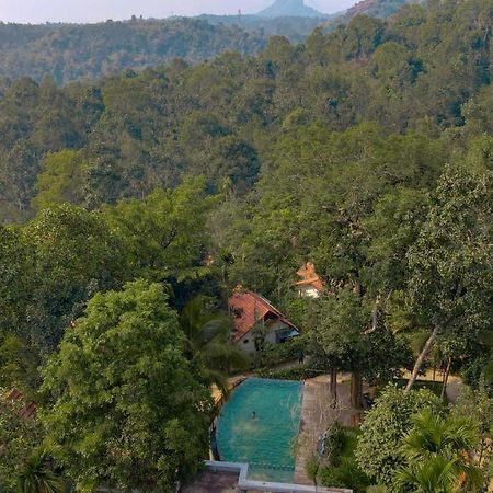 Willow Resorts Ambalavayal Εξωτερικό φωτογραφία