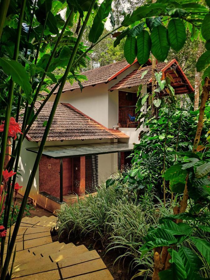 Willow Resorts Ambalavayal Εξωτερικό φωτογραφία