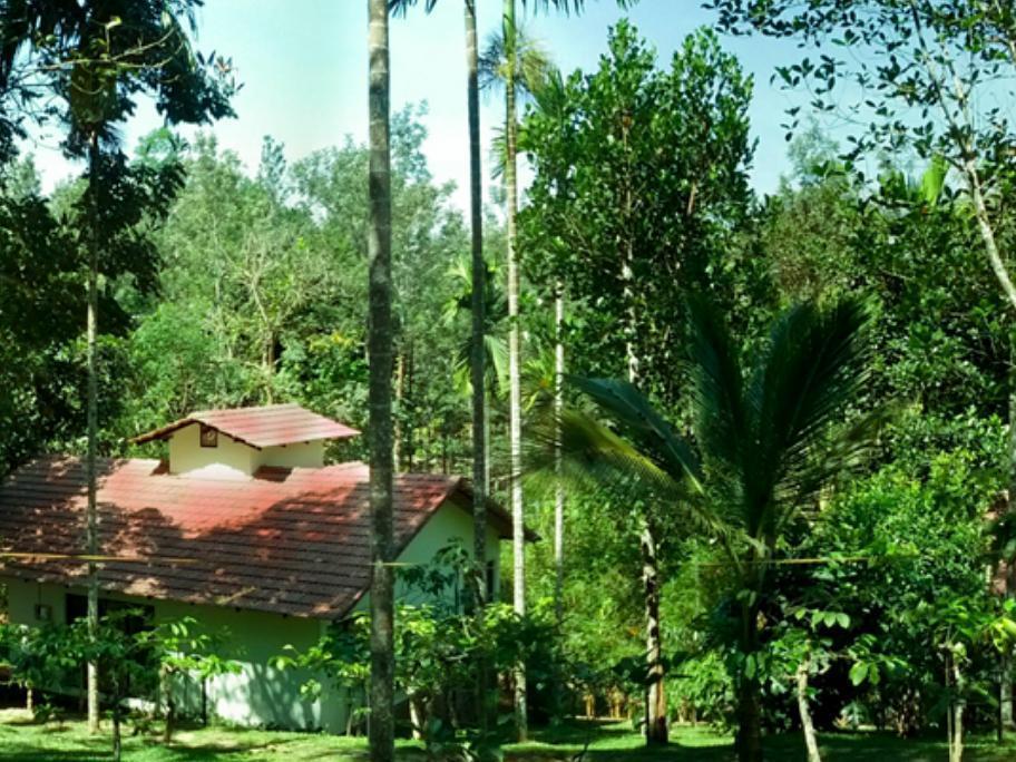 Willow Resorts Ambalavayal Εξωτερικό φωτογραφία